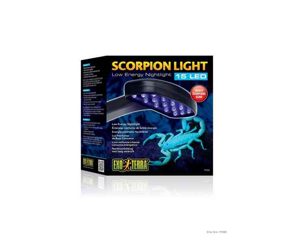 Scorpions Your Light