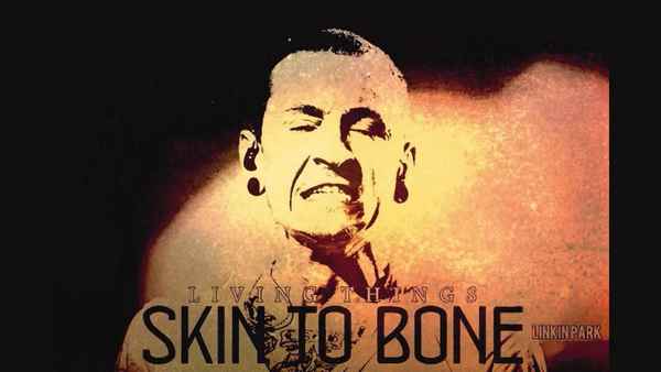 Linkin Park Skin to bone